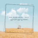 양양군 서면 풋살구장 | #29. 주간일기 05/05~05/11