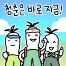 소요유민박