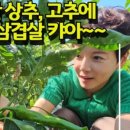 선산5길 이미지