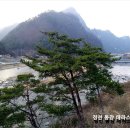 정선 동강 테라스 민박 (물길 따라 동강이야기~)