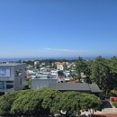 엘리시아공인중개사사무소 이미지