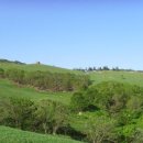 양대목장 이미지