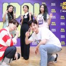 스텔라케이 이미지