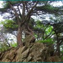 소요산관광지원센터 이미지