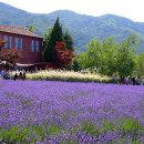 (주)정식품 이미지