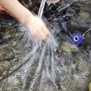 민물건강원 이미지