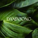 단오풍정 이미지