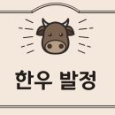 충만한우농장 | [한우실습일지] 번식우 발정