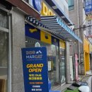 도그마캣남양주