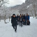 명동산장펜션 이미지