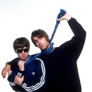 오아시스 이미지