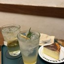 피치앤크림케이크샵 | 반려동물 동반 가능 연남동 데이트 맛집 카페 추천, 버터앤쉘터 연남점