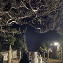 별빛여행 이미지