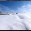 도전목장 이미지