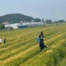 기술보급과 이미지