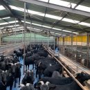 숲깊은 농장 이미지