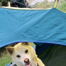 바람꽃뜰 이미지