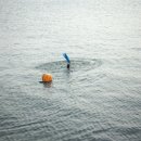 방울풍뎅이 이미지