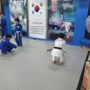 청룡체육관 이미지