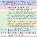 4월7일 경주 토함산(불국사) 벚꽃, 월정교-반월성-동궁&월지-첨성대 야경트레킹 안내 이미지