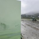 운무지정 운무정사 고들빼기들판 세번이나즐긴다 오늘따라 박무에 뻐꾸기소리와함께 이미지