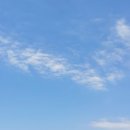 본1리 이미지