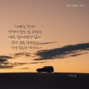 꽃이피는시간 이미지