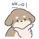멍줍강아지산책유치원 이미지