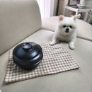신일토기 이미지