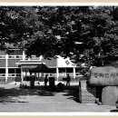 송라면사무소 이미지