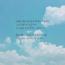 마이드