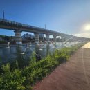 세븐일레븐 르부르낙산점 이미지