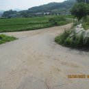 노암1리 진등 이미지