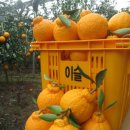 이슬농장2 이미지