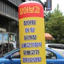 장어보감 이미지