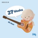 임신 37주 육아휴직 시작, 최후의 만찬 이모저모 만삭 임산부 일상