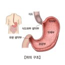 위 이미지