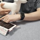 마루동물병원 이미지