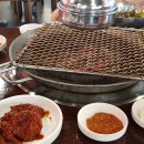 참돈 이미지