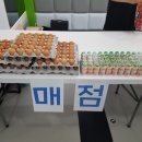 용인대 한울 태권도 이미지