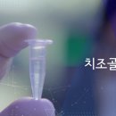 바이오랩 주식회사 이미지
