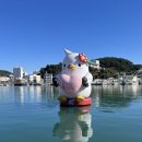 통영정육점
