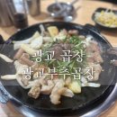 [광교맛집]_부추곱창 광교곱창 갤러리아광교 근처 맛집
