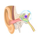 브니엘노인전문병원 이미지