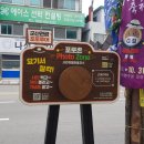 나성관광여행사 이미지