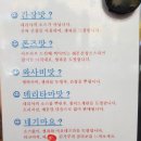 타코비 이미지