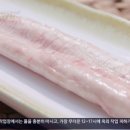 신도카센타 이미지