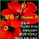 샬롬 이미지