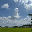 원골농원 이미지