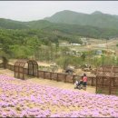 해여림식물원 이미지